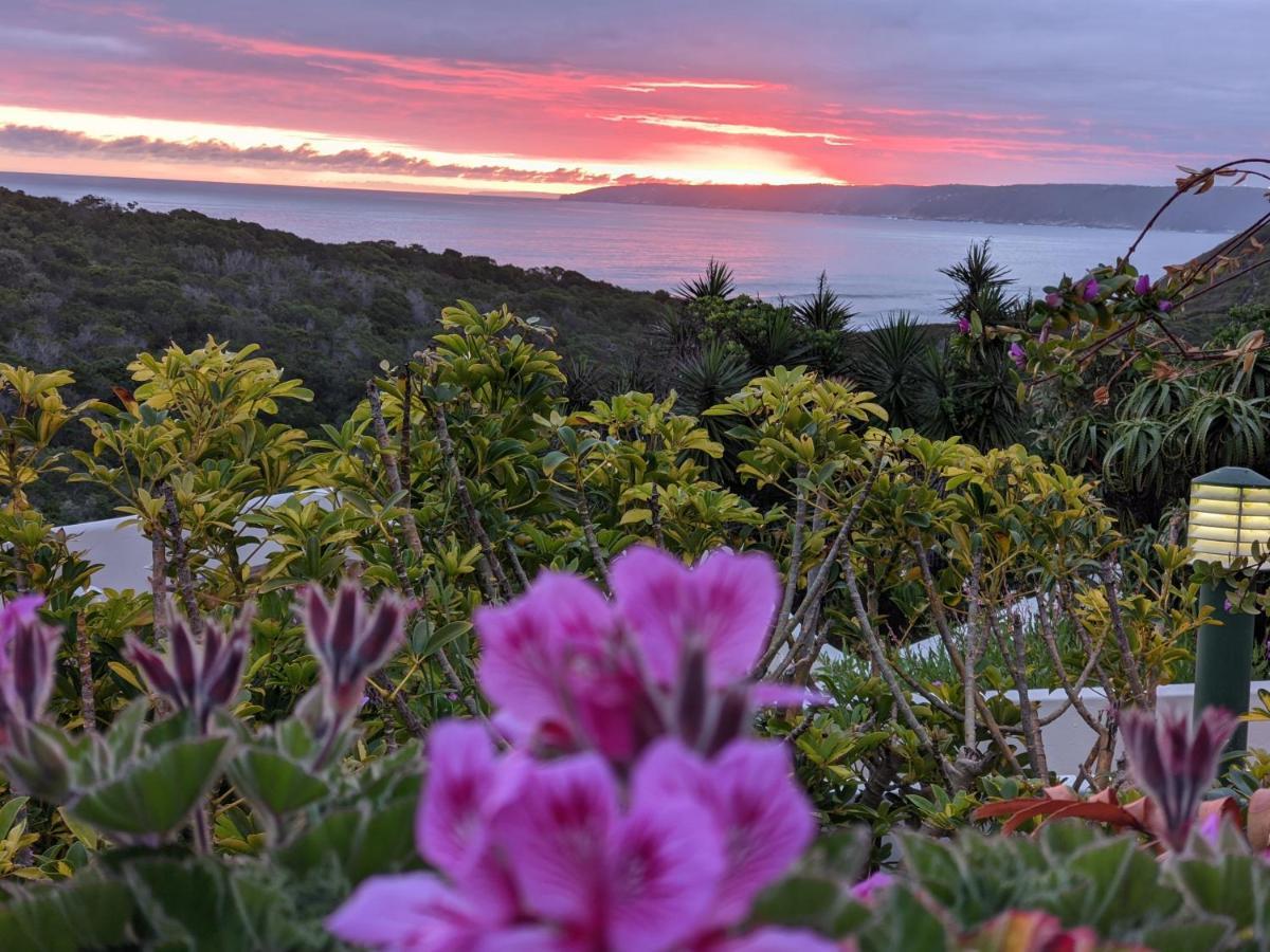 Villa Cape Garden Route Wildernis Buitenkant foto