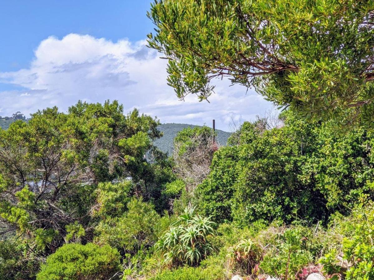 Villa Cape Garden Route Wildernis Buitenkant foto